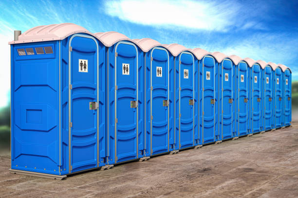 Trusted Ferndale, MD Portable Potty Rental  Experts