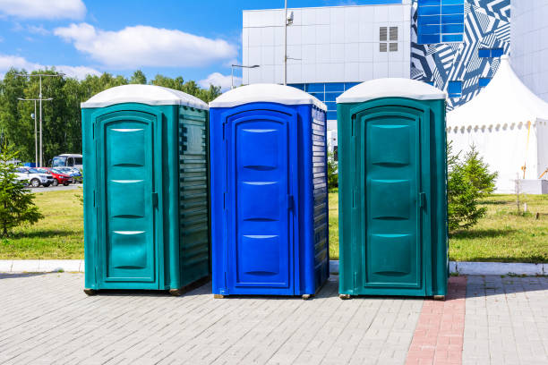 Best Portable Toilets for Disaster Relief Sites  in Ferndale, MD